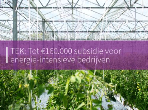 Teruggave Energiekosten (TEK): Tot €160.000 subsidie voor energie-intensieve bedrijven